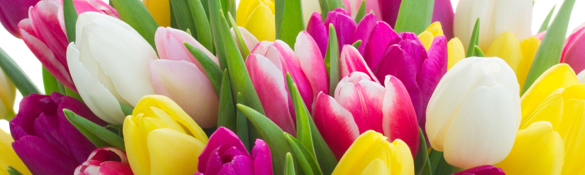 Everett & Lynnwood (WA) Flower Delivery Stadium Flowers