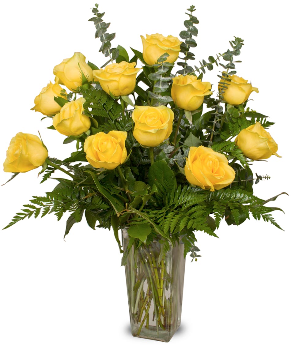 One dozen premium long-stemmed yellow roses