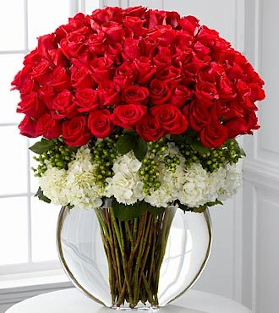 Red roses with white hydrangea and green accents mixed in a moon style vase. Choose 24, 48 or 72 Rose stems.