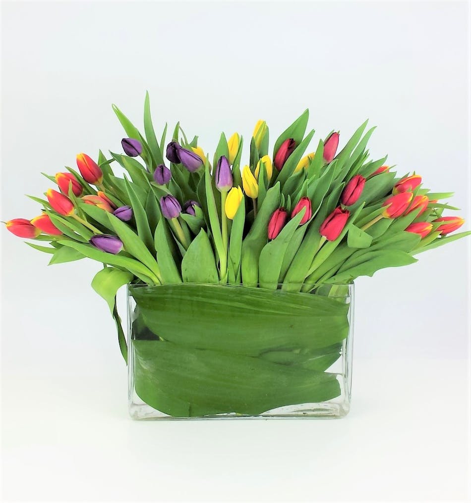 fresh bright mix of local tulips in a clear glass vase. Elegantly styled with Leaves wrapped inside the vase . Choose the Premium mix with 60 stems . 