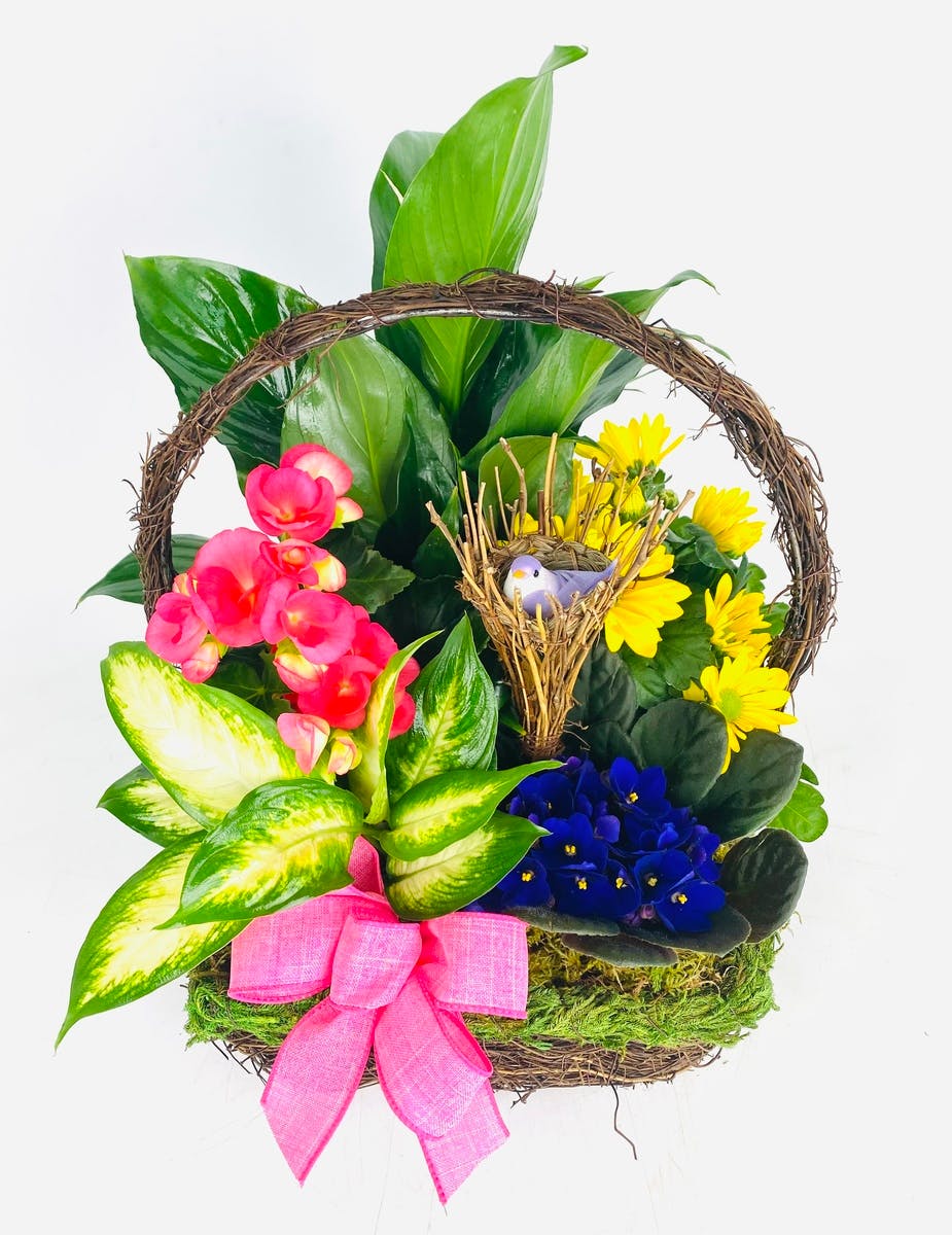 Secret Garden Stadium Flowers