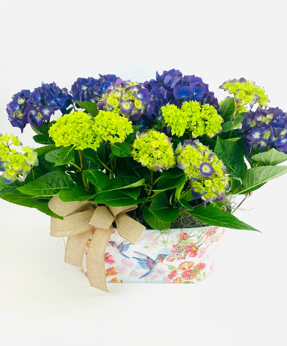 Valentine's Day Flowers & Gift Delivery Everett WA Stadium Flowers