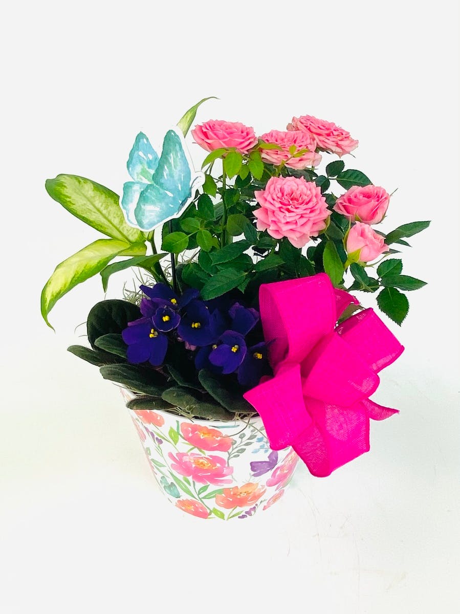 Cheerful Garden Basket Stadium Flowers Everett & Lynnwood