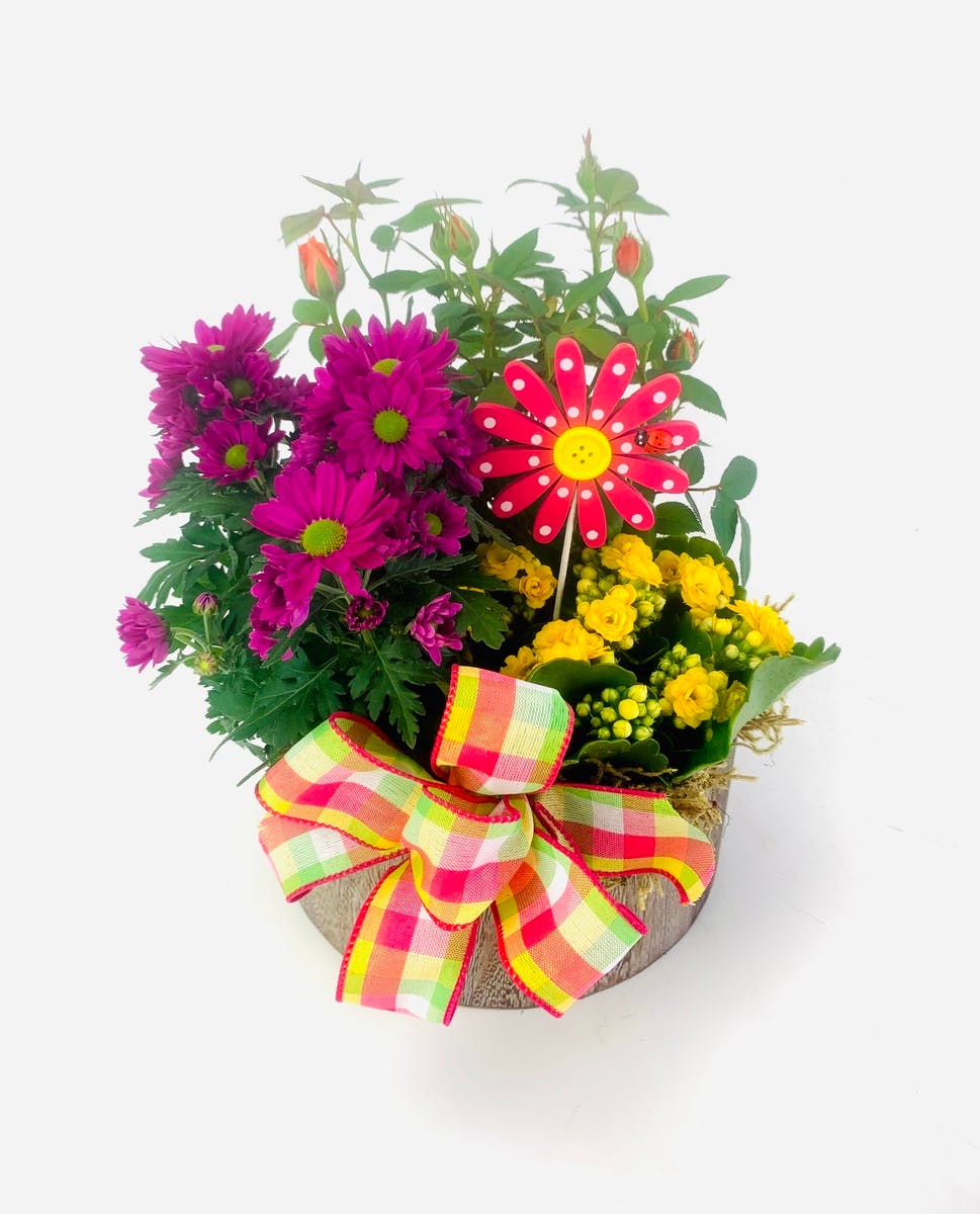 Vibrant Garden Stadium Flowers