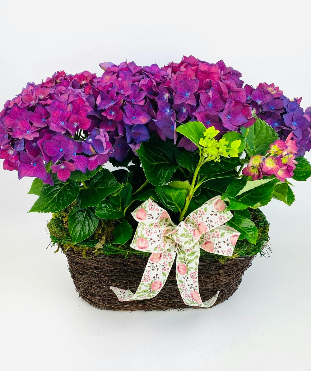 Grandparents Day Delivery Everett (WA) Stadium Flowers & Gifts