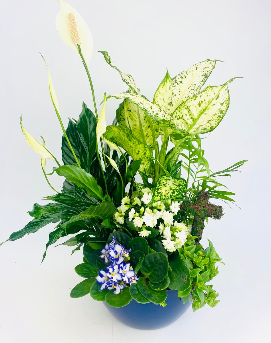 Midnight Blue Stadium Flowers