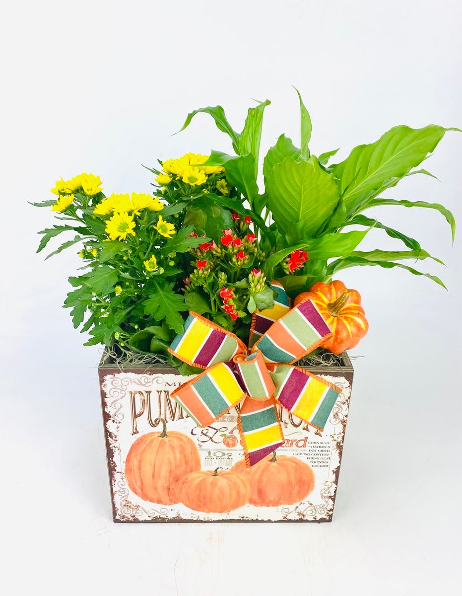 Pumpkin Patch Stadium Flowers