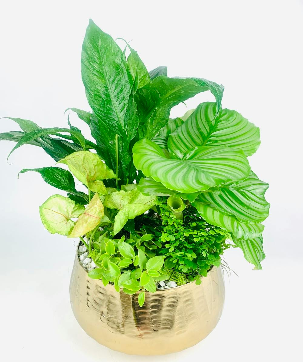 Funeral Flower Delivery Everett (WA) SAME DAY DELIVERY Stadium Flowers