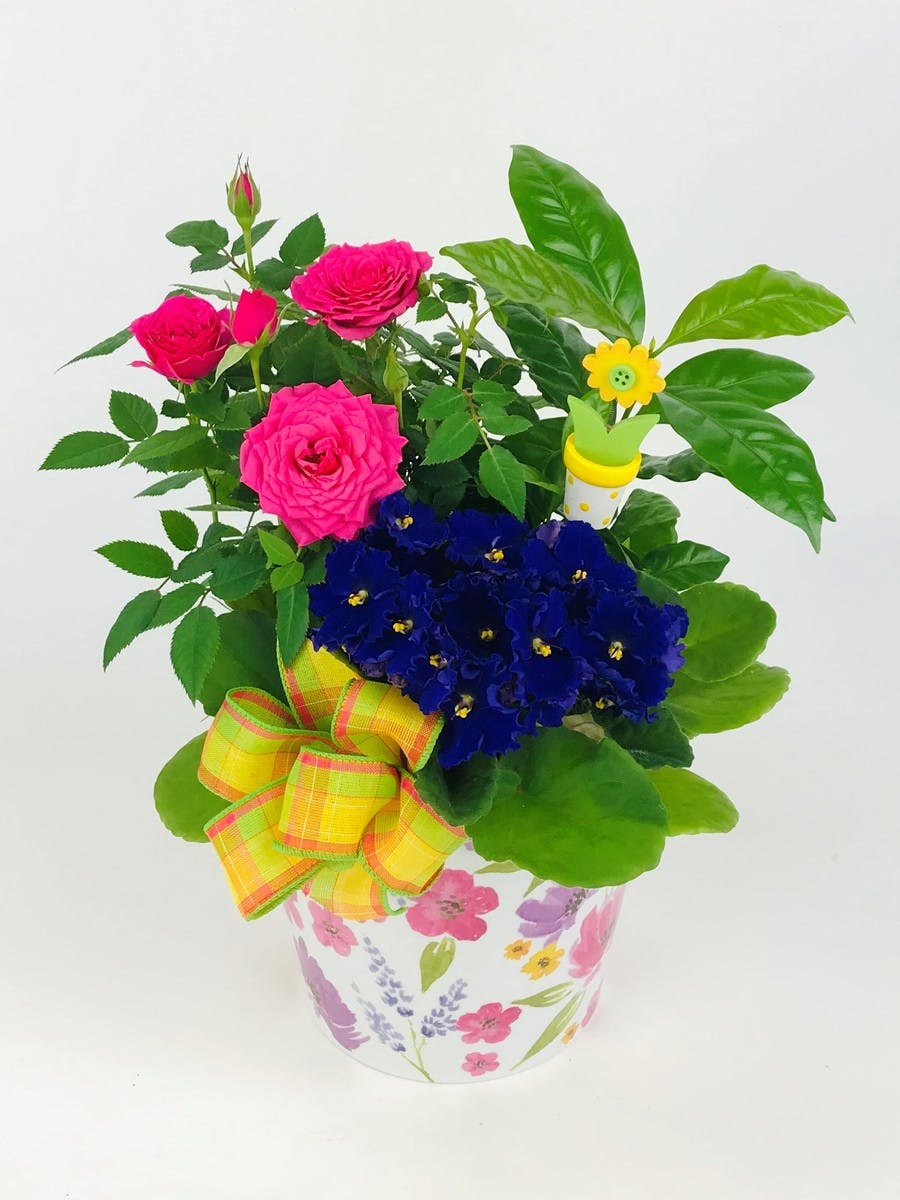 Cheerful Garden Basket Stadium Flowers Everett & Lynnwood