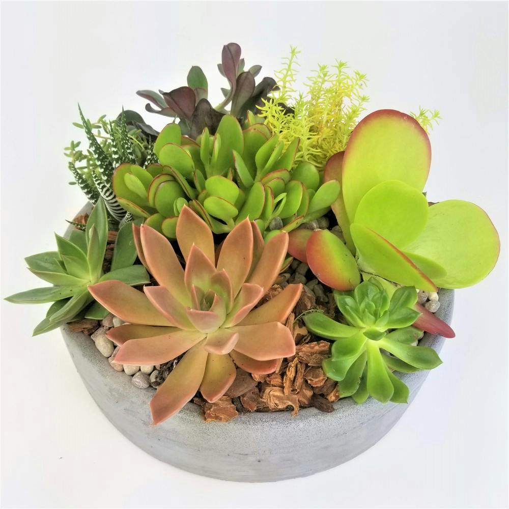 Everett WA Fall & Autumn Flowers Seasonal Flower Delivery Seattle