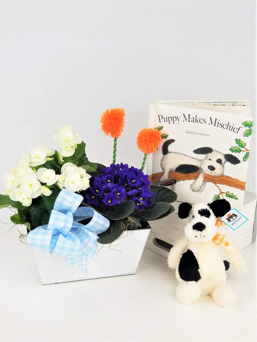 puppy makes mischief