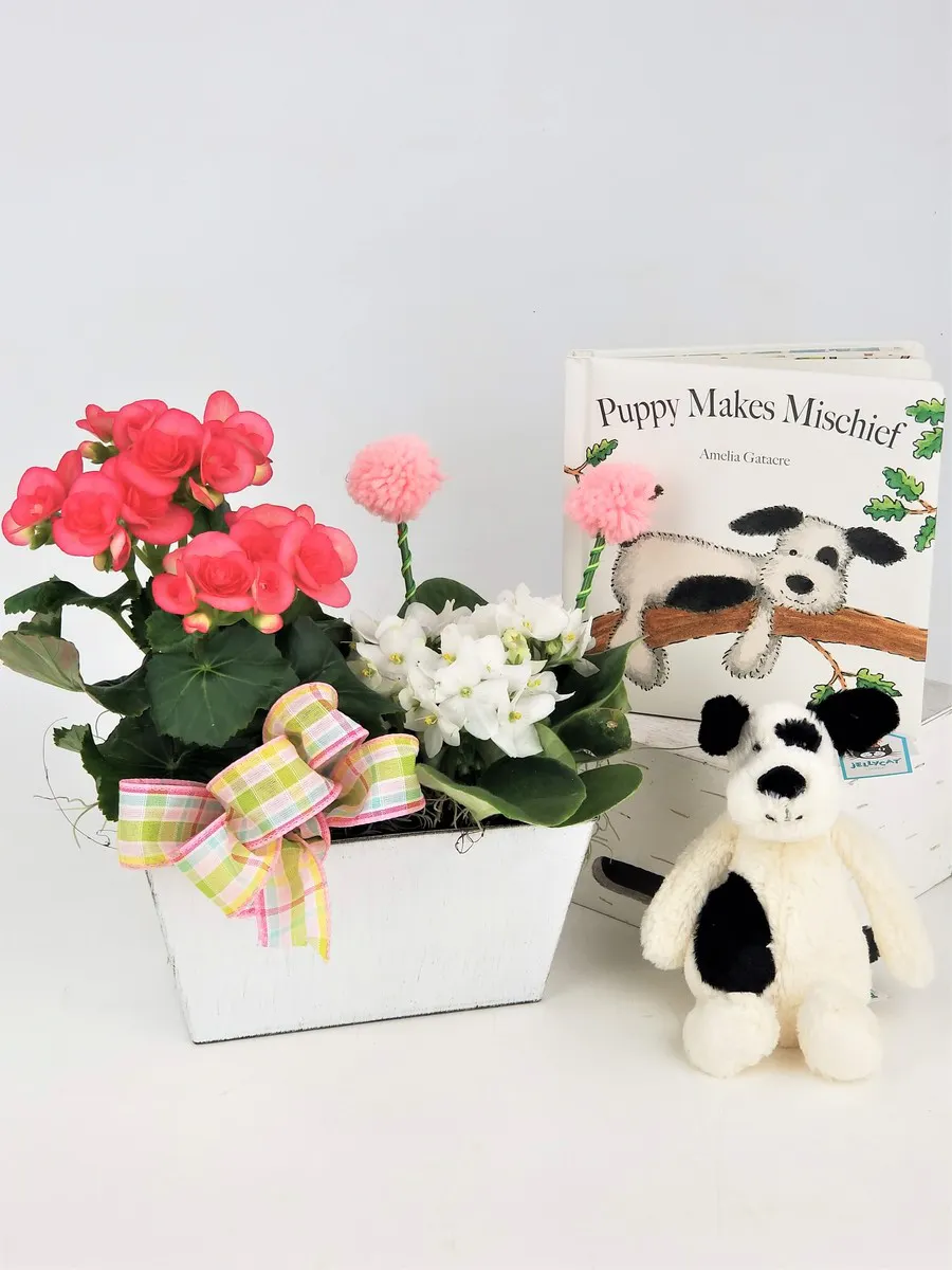 puppy makes mischief