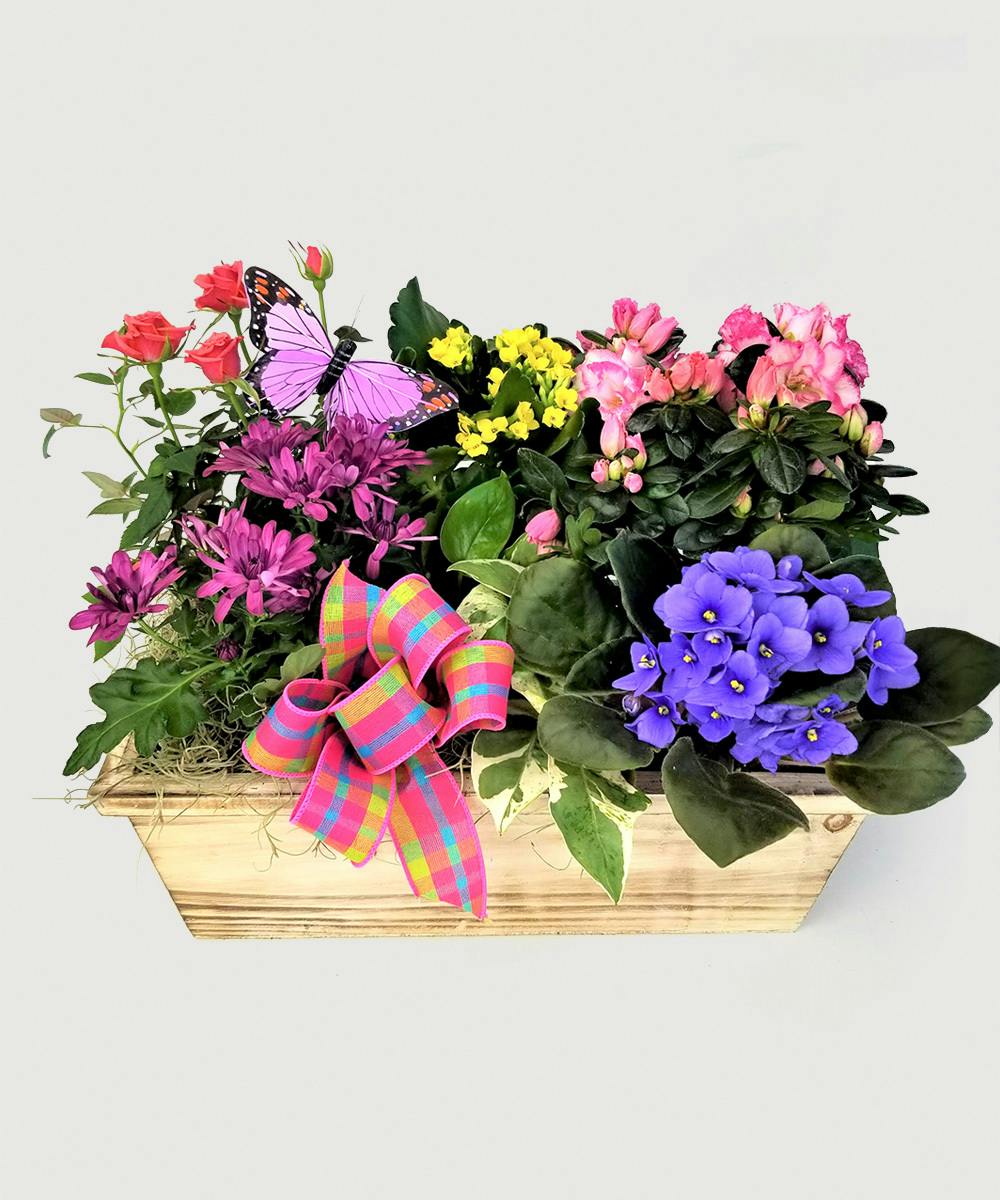 Springtime Garden Stadium Flowers Lynnwood & Everett WA