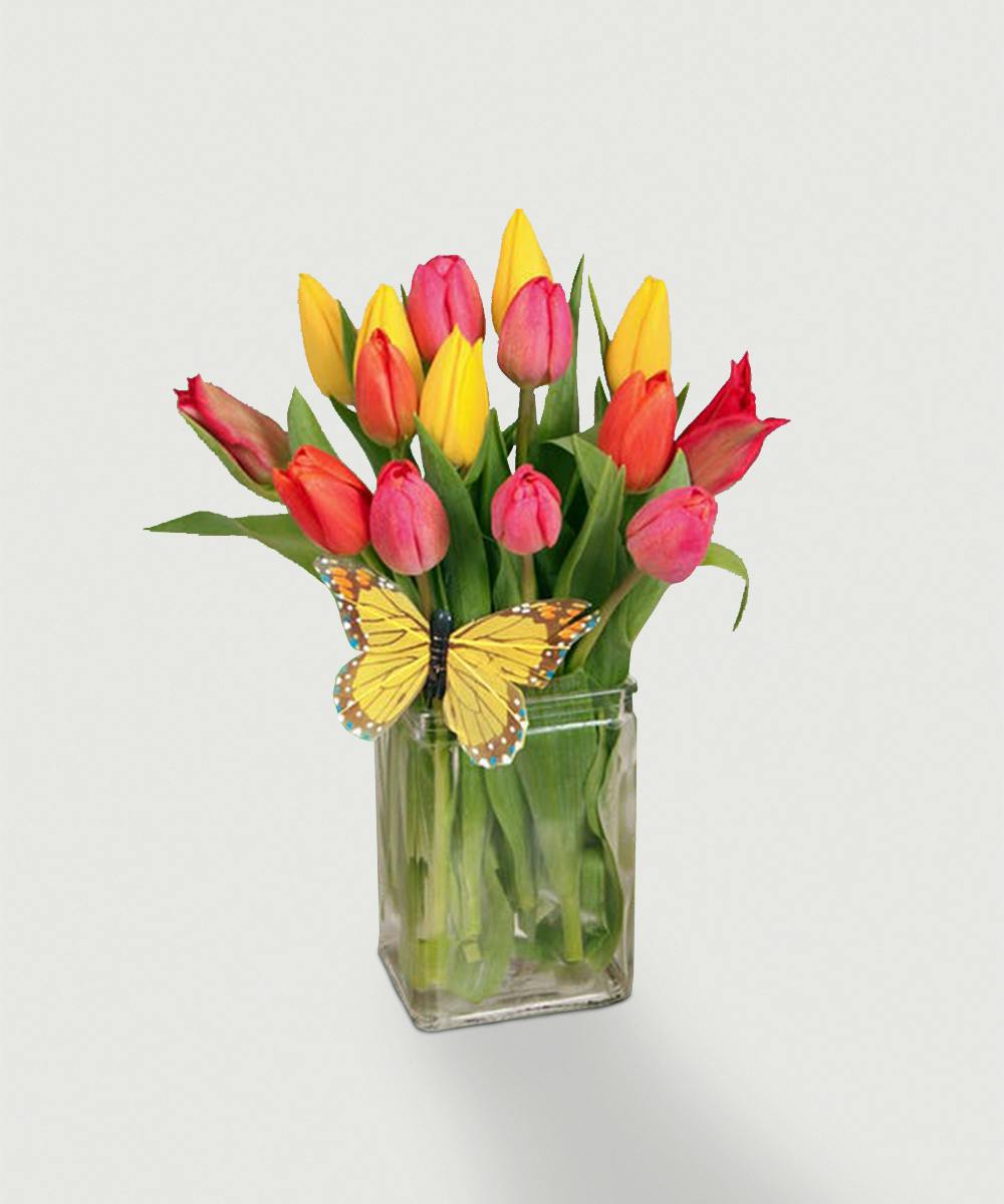 Tulip Tango Fresh Cut Tulips Sameday Delivery Everett, WA