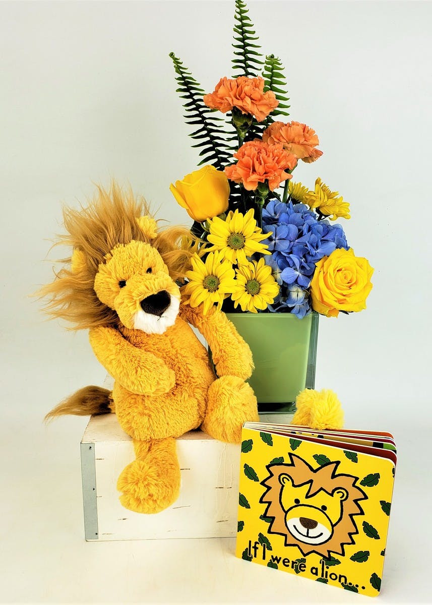 bashful lion