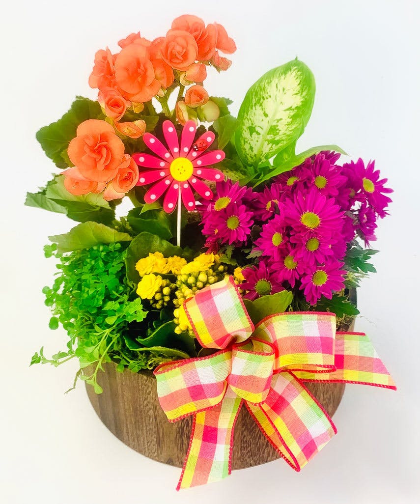 Vibrant Garden Stadium Flowers