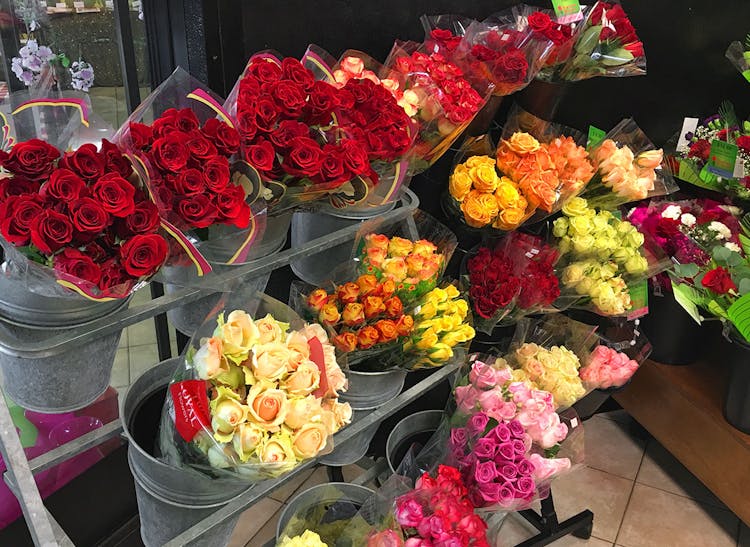 Roses and carnations in a variety of colors, shapes and sizes